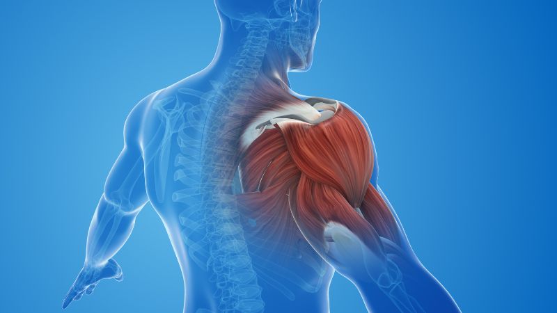 Pha muối hồng vào nước tắm giúp cải thiện sức mạnh cơ bắp