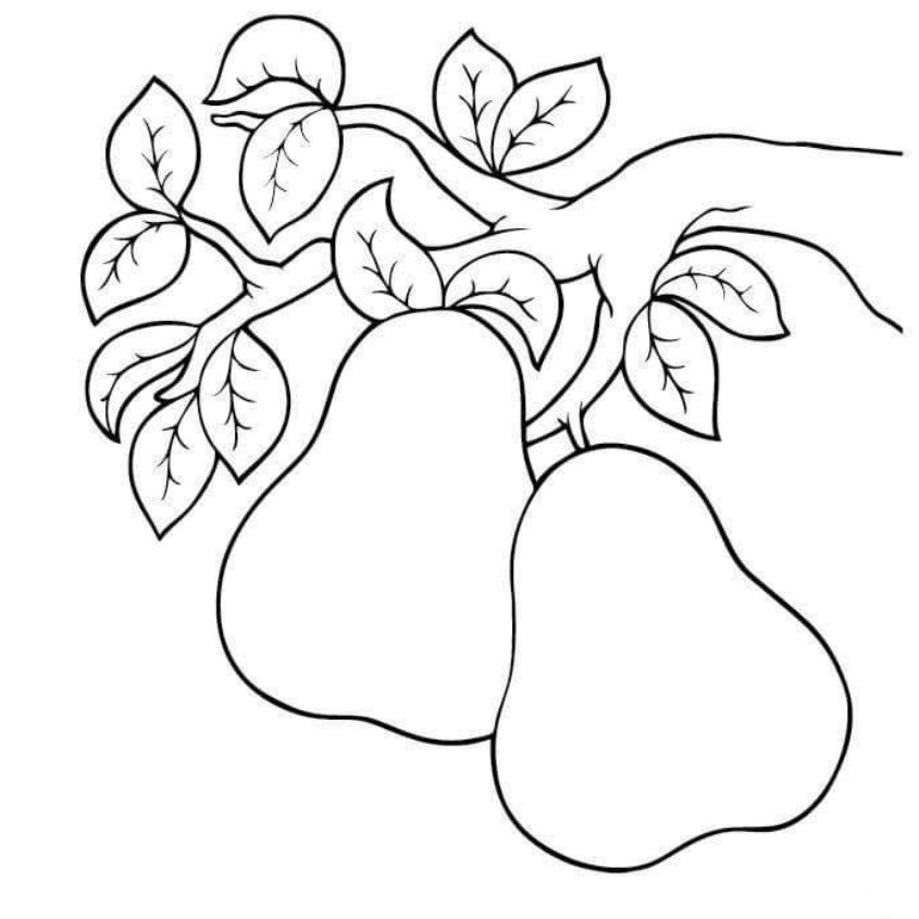 Tranh tô màu đồ ăn dễ thương số 2 Tranh tô màu đồ ăn dễ thương số 2