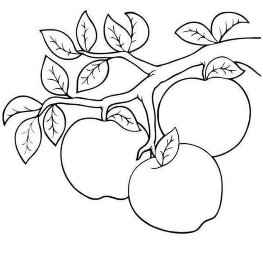 Tranh tô màu đồ ăn dễ thương số 10 Tranh tô màu đồ ăn dễ thương số 10