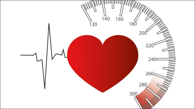 Điền thất có thể trị chứng cao huyết áp cho nữ giới 