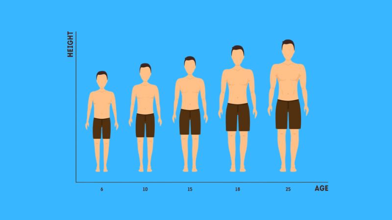 Đu xà có thể hỗ trợ tăng chiều cao Đu xà có thể hỗ trợ tăng chiều cao
