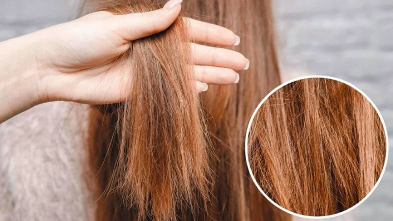 Hấp tóc giúp tăng cường độ ẩm cho tóc, phục hồi tóc hư tổn