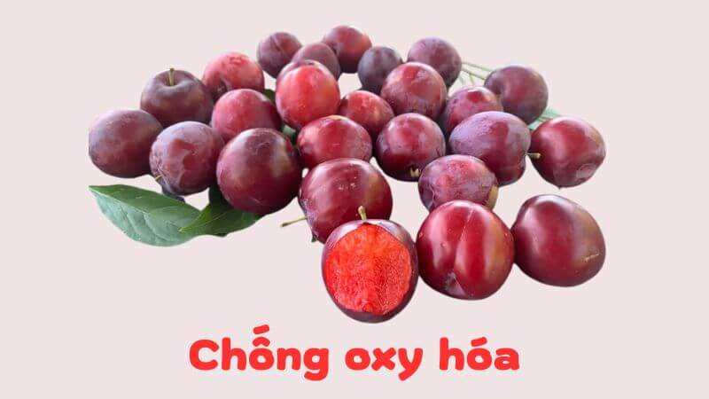 Mận là loại trái cây giàu chất chống oxy hóa