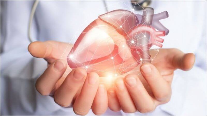Mận có tác dụng thúc đẩy sức khỏe tim mạch