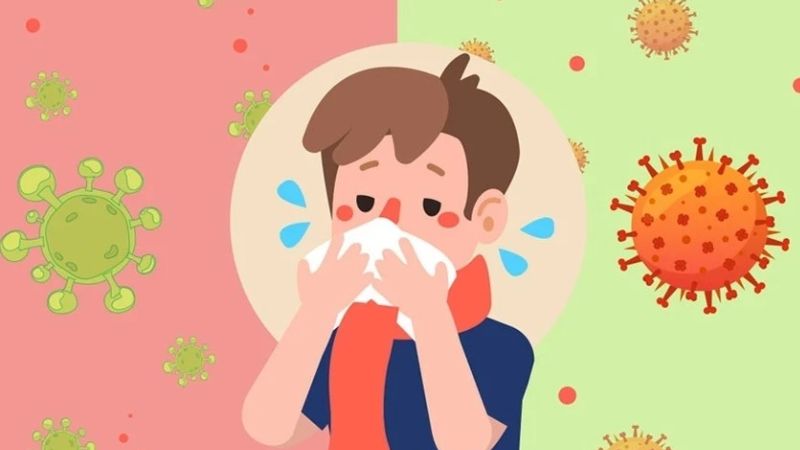 Nụ vối có tác dụng bảo vệ cơ thể khỏi tác động có hại của virus cúm