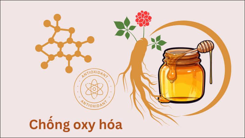 Tam thất ngâm mật ong giúp chống lại các tác nhân gây mất cân bằng oxy hóa