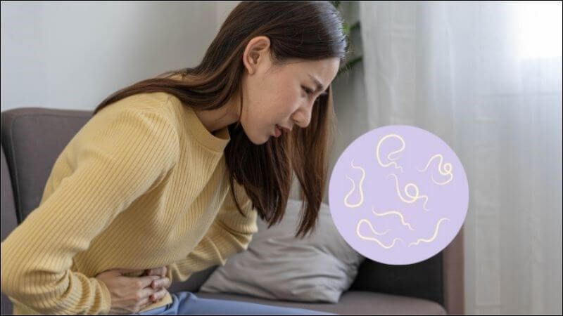 Chiết xuất từ lá cây cây bàng đã được nghiên cứu và cho thấy có khả năng diệt giun sán, đặc biệt là các loài như Trichostrongylus colubriformis, Cooperia curticei...