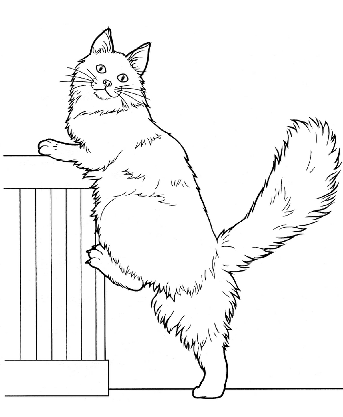 Tranh tô màu con mèo vui nhộn số 1