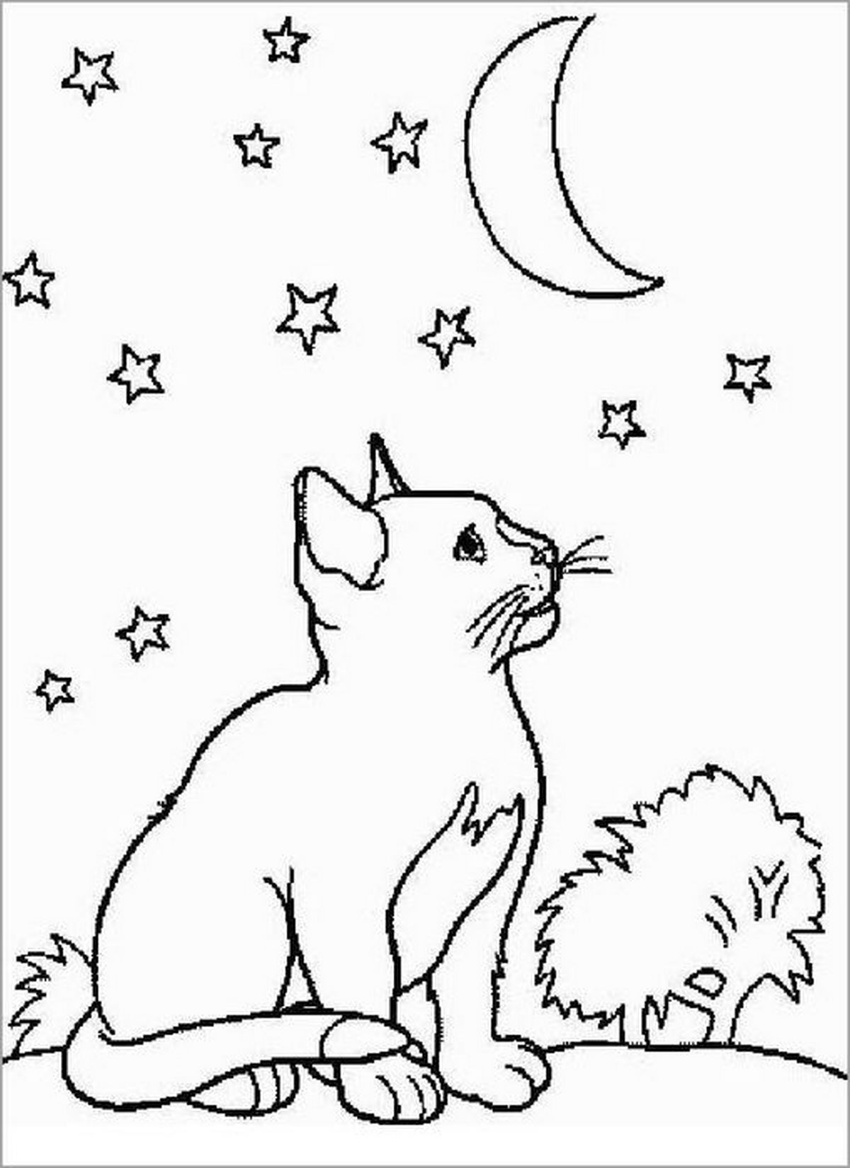 Tranh tô màu con mèo đơn giản số 72