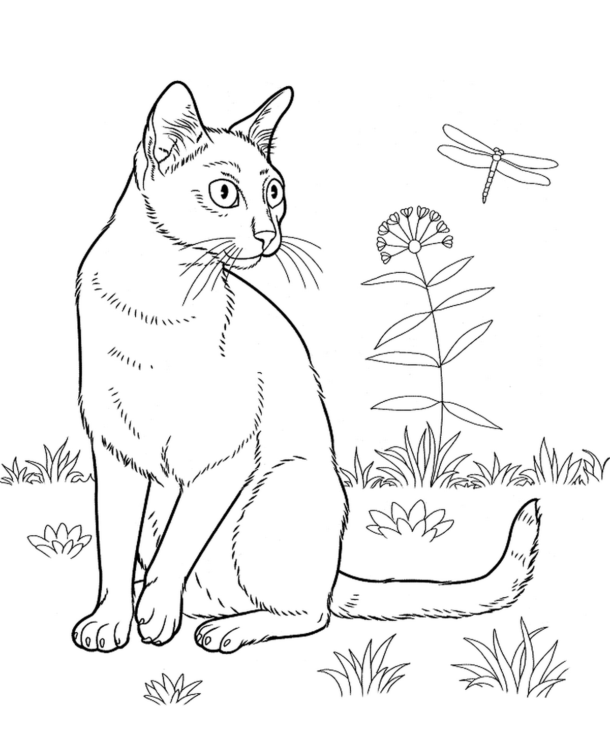 Tranh tô màu con mèo đơn giản số 78