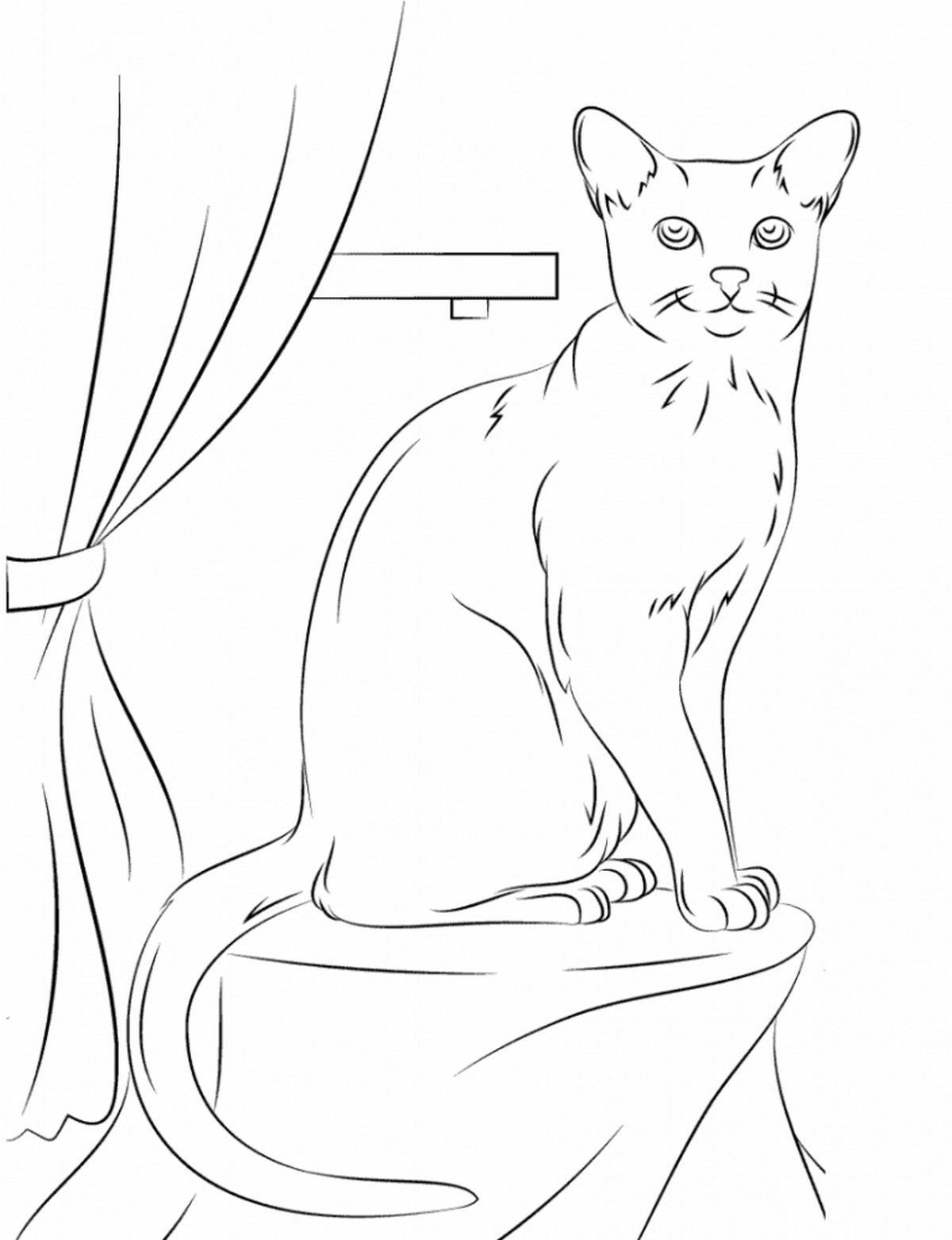 Tranh tô màu con mèo đơn giản số 79
