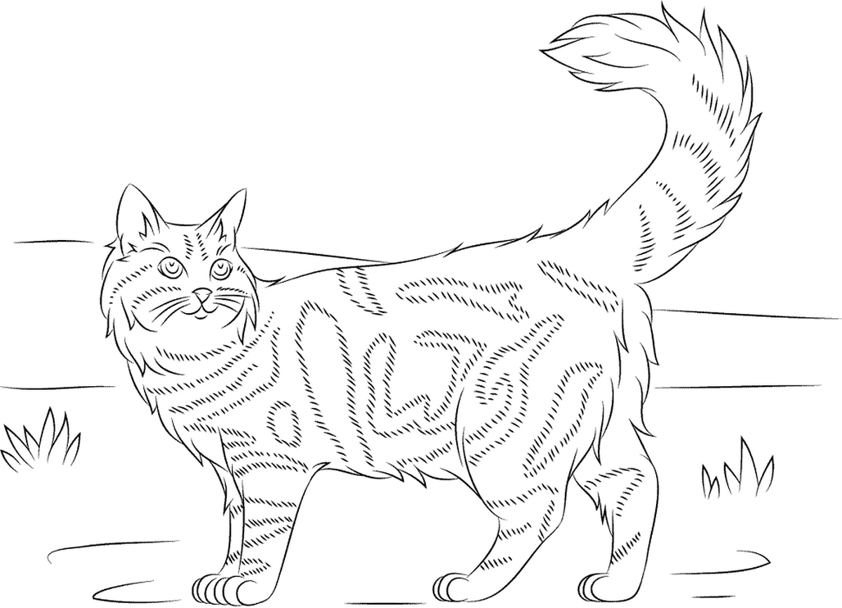 Tranh tô màu con mèo đơn giản số 80