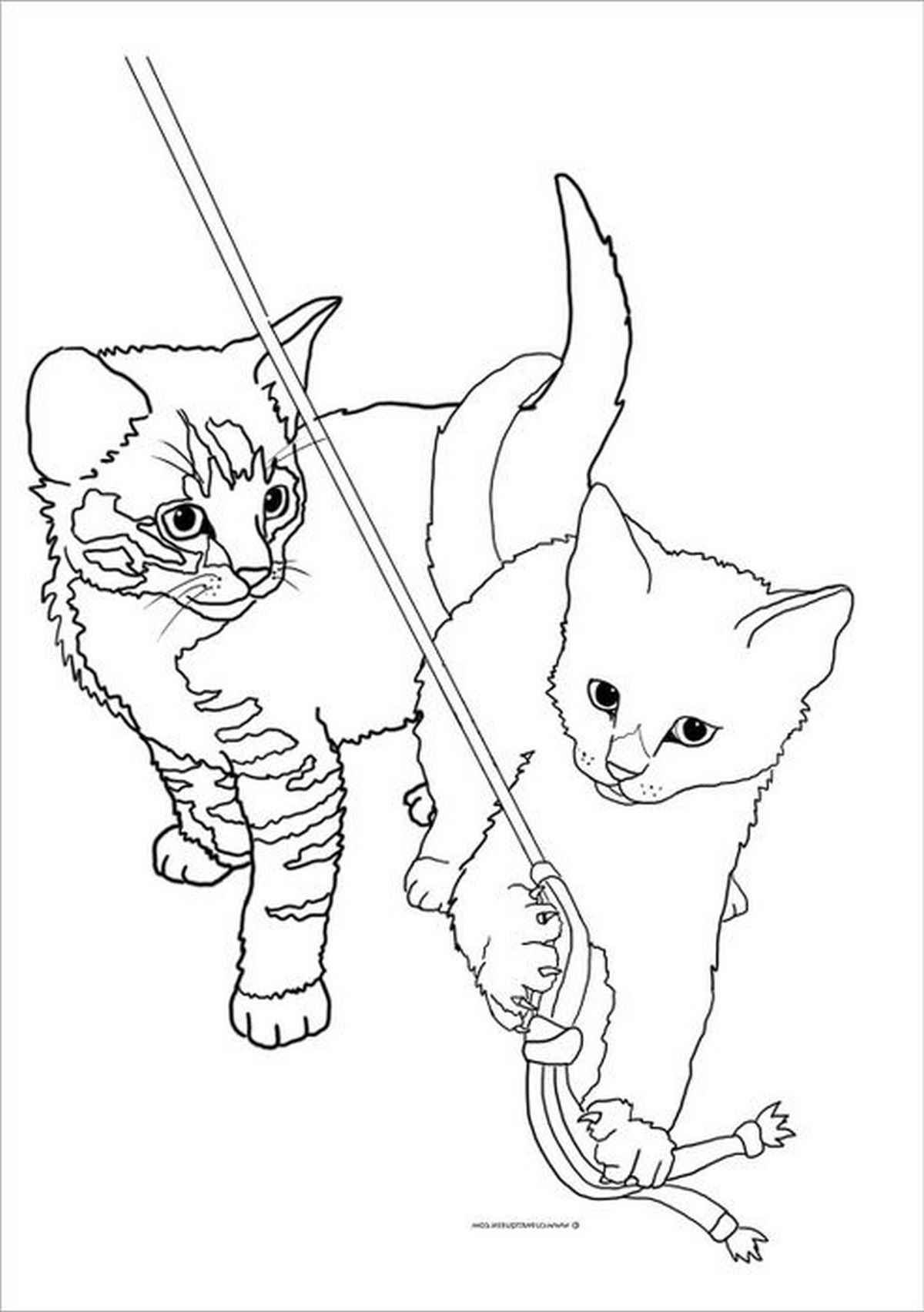 Tranh tô màu con mèo vui nhộn số 8