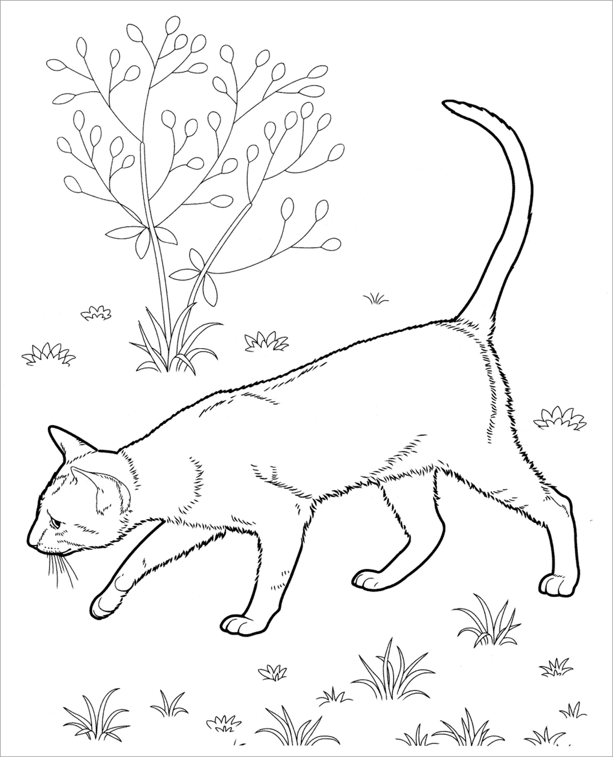 Tranh tô màu con mèo đơn giản số 35