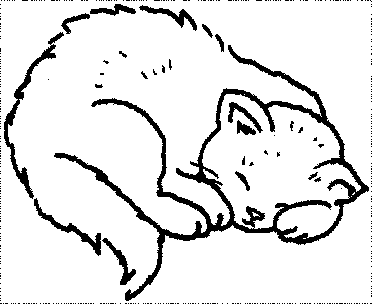 Tranh tô màu con mèo đơn giản số 53