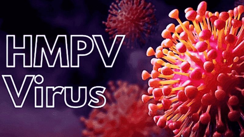 Human metapneumovirus (HMPV), thuộc họ Pneumoviridae