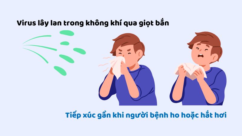 Virus HMPV lây qua giọt bắn và tiếp xúc bề mặt nhiễm virus