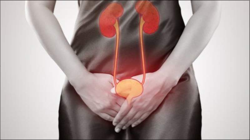 Bài thuốc rễ cỏ tranh và các dược liệu sắc uống hàng ngày giúp cải thiện tình trạng viêm ở đường tiết niệu