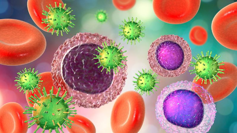 Sau khi tiêm vắc xin, hệ miễn dịch sẽ kích hoạt sản sinh ra các kháng thể chống lại virus dại