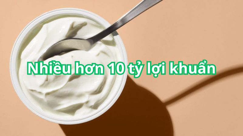 Bạn nên lựa chọn sữa chua cung cấp nhiều hơn 10 tỷ lợi khuẩn