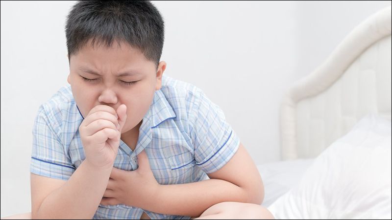 Người mắc bệnh về hô hấp nên dùng lá xương sông để giảm triệu chứng