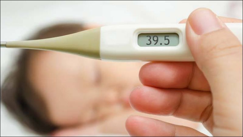 Trẻ có thể hạ sốt sau khi dùng lá xương sông