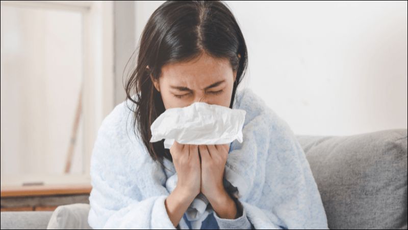 Cây xương sông có tác dụng hỗ trợ chữa cảm sốt