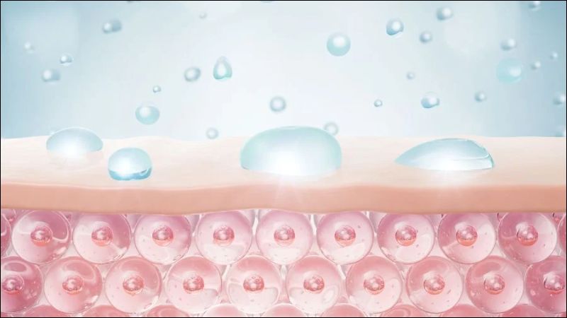 Nhờ ái lực cao với nước, glycerin giúp hàng rào bảo vệ da thêm bền chặt