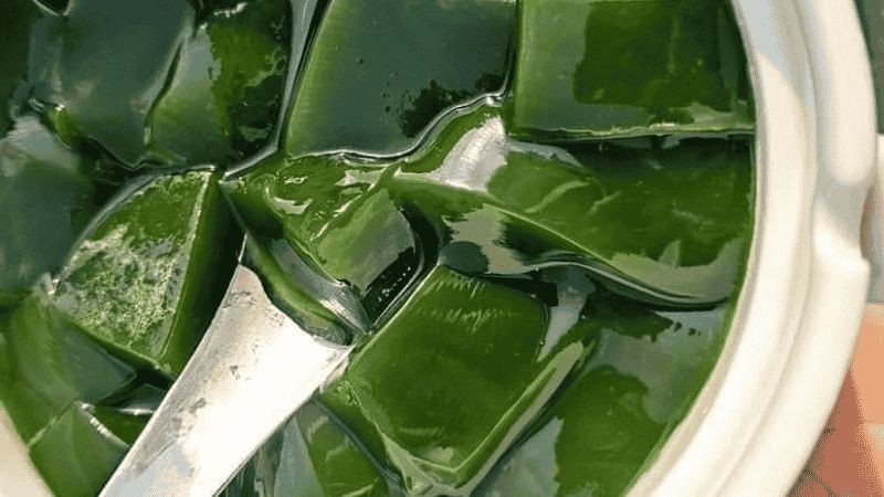 Thạch sương sâm là một trong những món ăn giải khát phổ biến