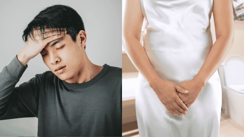 Dùng nước sương sâm có thể chữa sốt lỵ và tiểu tiện khó