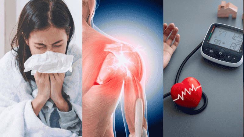 Lá sương sâm còn giúp chữa cảm mạo, huyết áp cao, chữa đau cơ do xương khớp
