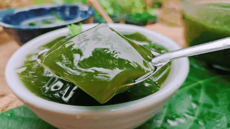 Bạn cần lưu ý về cách chế biến, liều lượng và cách sử dụng sương sâm để đạt hiệu quả tối đa