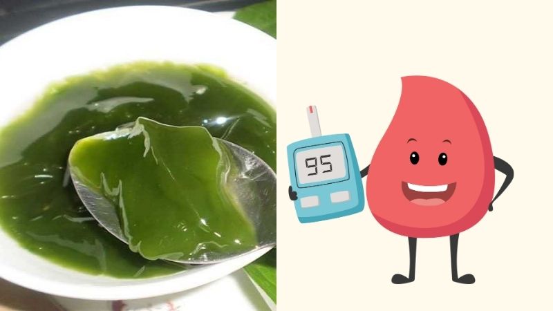 Sương sâm có thể được sử dụng để hỗ trợ điều trị tiểu đường 