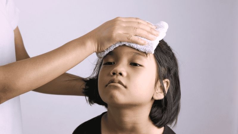 Chiết xuất từ sương sâm giúp giảm các triệu chứng viêm và hạ sốt hiệu quả