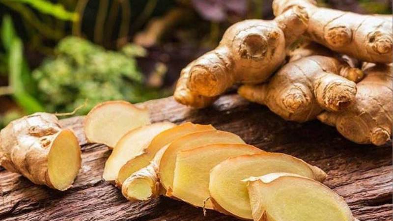 Gừng có tên khoa học là Zingiber officinale Roscoe thuộc họ Zingiberaceae (Gừng)