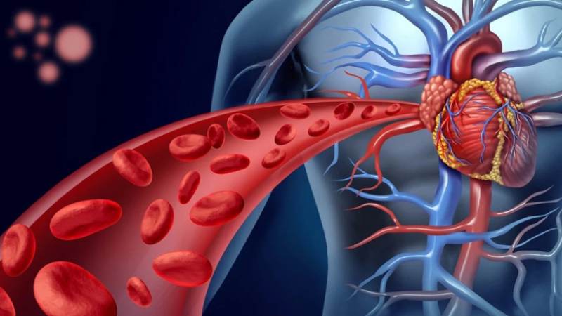 Ngâm chân bằng nước muối gừng ấm giúp máu được lưu thông trong cơ thể tốt hơn