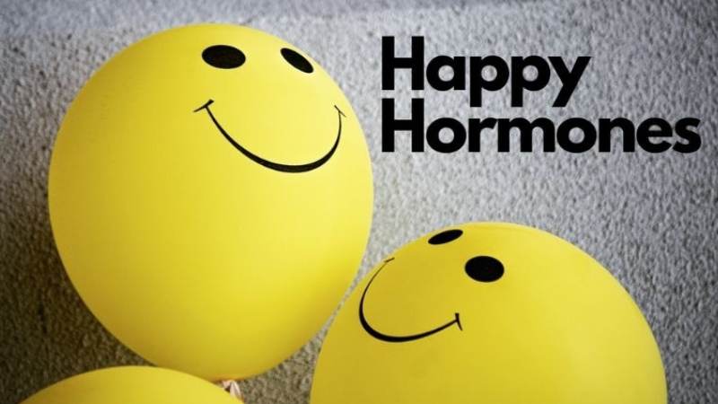 Nụ hôn kích hoạt não bộ giải phóng các hormone hạnh phúc