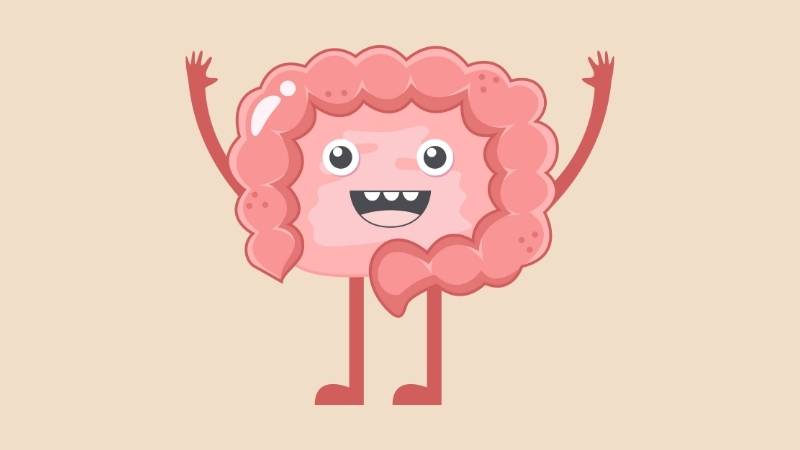 Ngũ cốc rất có lợi cho sức khỏe hệ tiêu hóa
