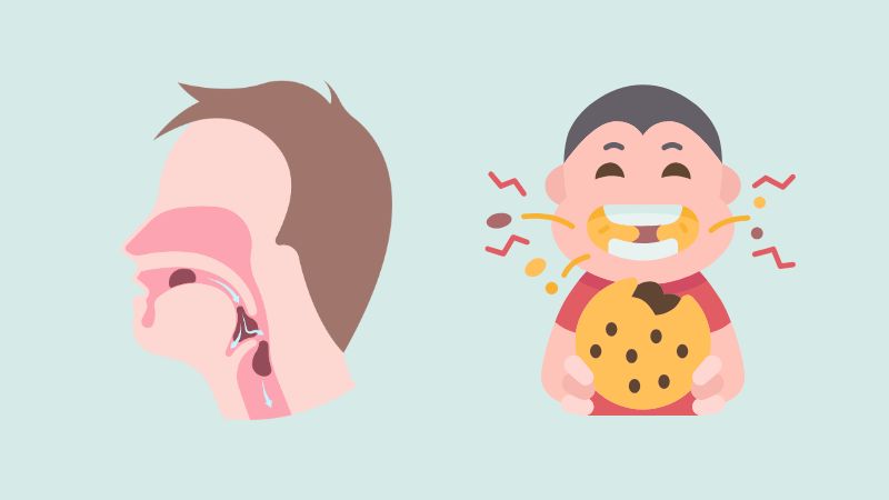 Niềng răng giúp lực nhai phân tán đều hơn và nhai hiệu quả hơn