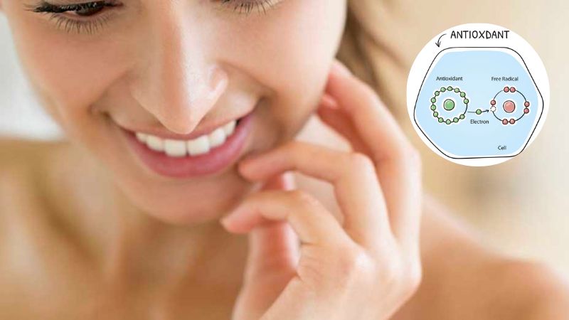 Hoa thiên lý thể hiện khả năng chống oxy hóa cao gấp 2,4 lần so với acid ascorbic