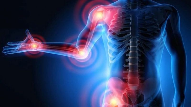 Chiết xuất từ lá thiên lý cho thấy tiềm năng kháng viêm nhờ các hoạt chất có trong dược liệu 