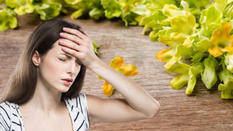 Sử dụng bài thuốc hỗ trợ điều trị chóng mặt, hoa mắt trong 5 - 7 ngày để đạt được hiệu quả điều trị