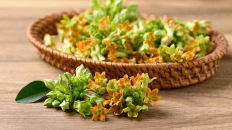 Sắc hoa thiên lý uống trong ngày có thể giúp cải thiện các bệnh về viêm kết mạc, viêm giác mạc