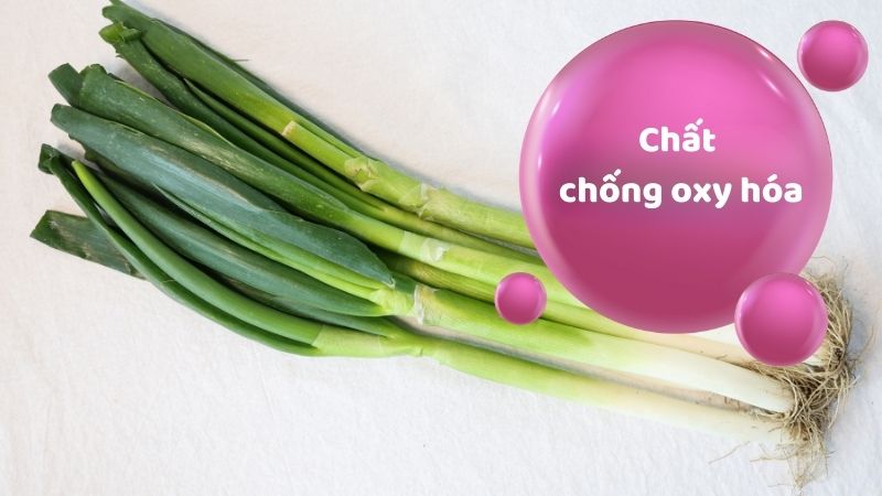 Hành lá giàu chất chống oxy hóa, nhờ đó giảm viêm và tăng cường sức khỏe