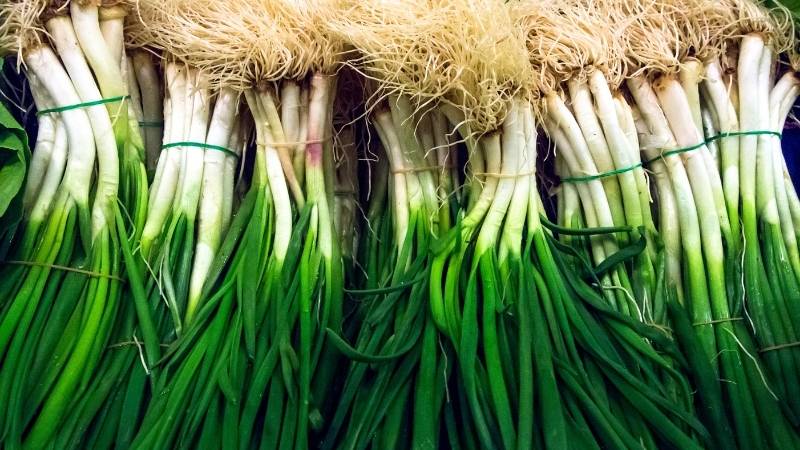  Liều lượng hành lá được khuyên dùng là từ 30 - 60g/ ngày