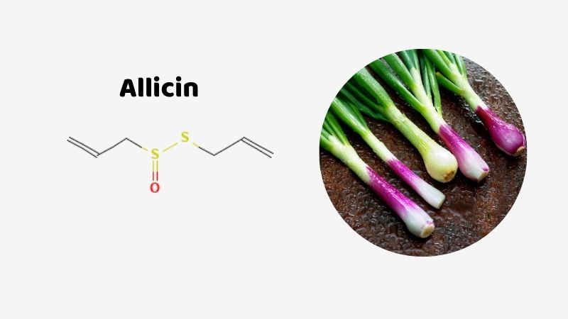 Allicin là thành phần hoạt chất chính có trong hành lá