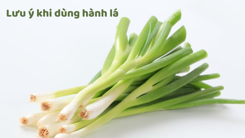 Bạn nên lưu ý dùng hành lá đúng cách để không ảnh hưởng xấu đến sức khỏe