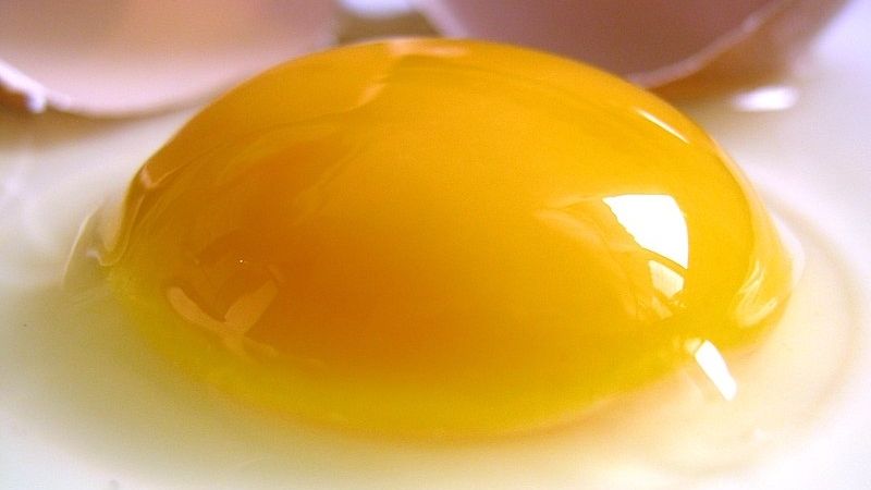 Lòng đỏ trứng gà là phần màu vàng nằm ở trung tâm quả trứng