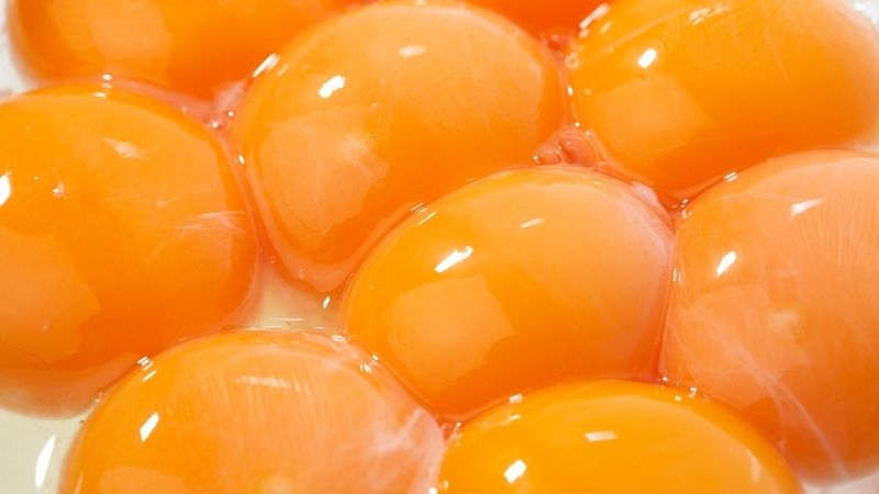 Lòng đỏ trứng gà có hàm lượng cholesterol cao có thể ảnh hưởng đến sức khỏe tim mạch