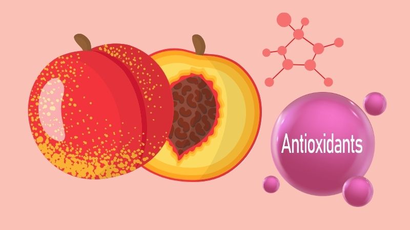 Quả đào có khả năng chống oxy hóa mạnh mẽ nhờ chứa nhiều polyphenol